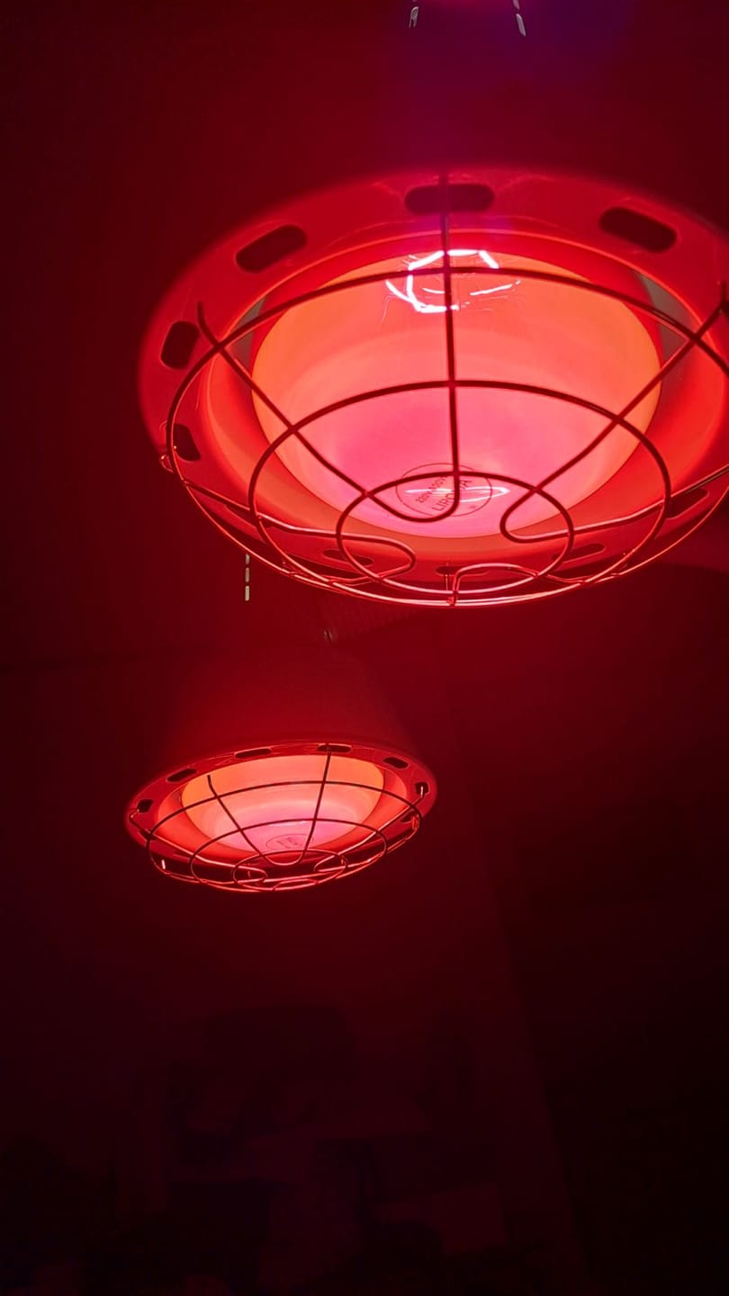 Customer photo review of LIROMA® Infraroodlamp Dubbele kop – 507 – Ideaal voor thuis