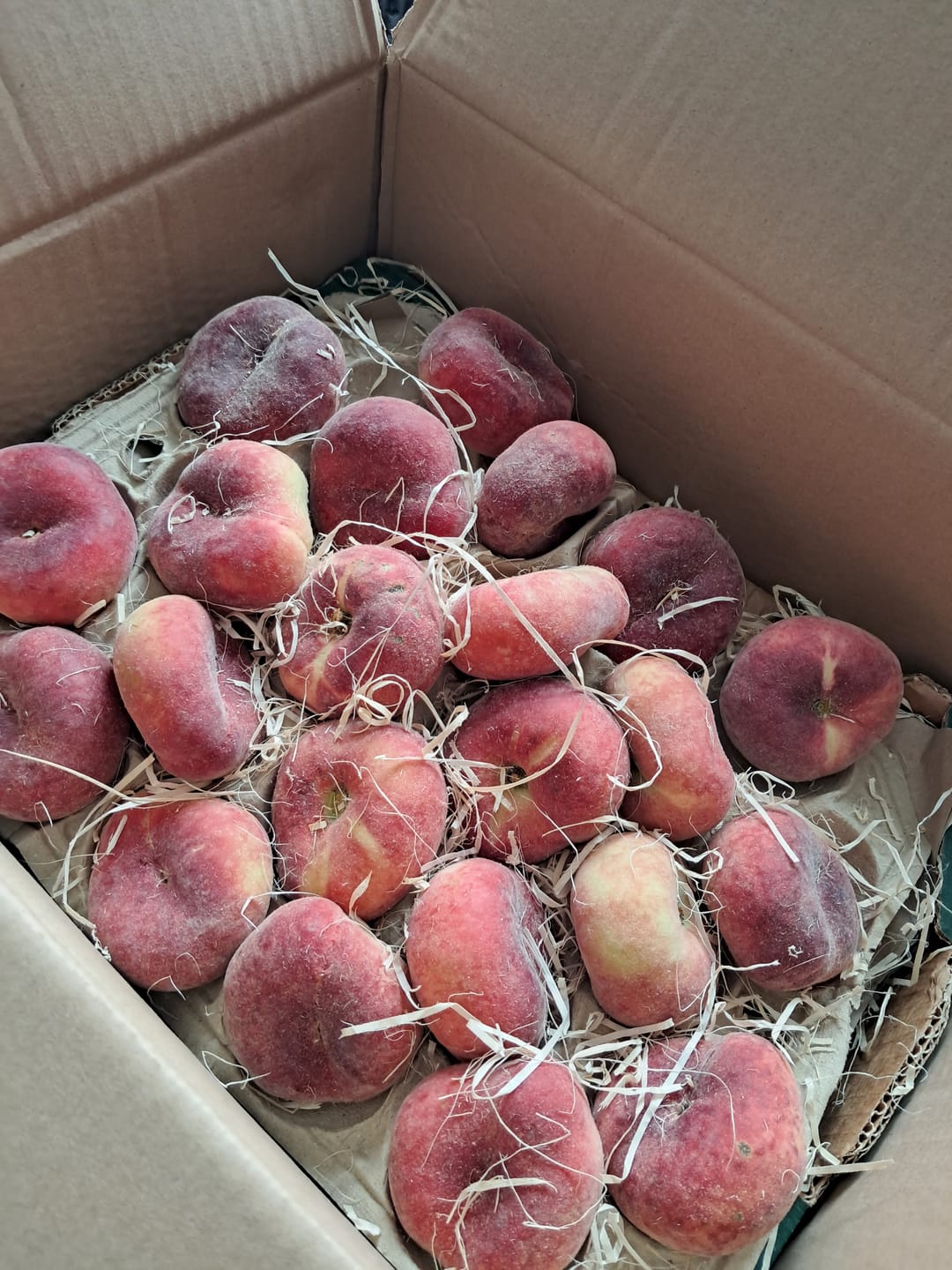 Customer photo review of Weinbergpfirsiche "Paraguayo" Bio von Jose 2kg Box Sonderpreis %
