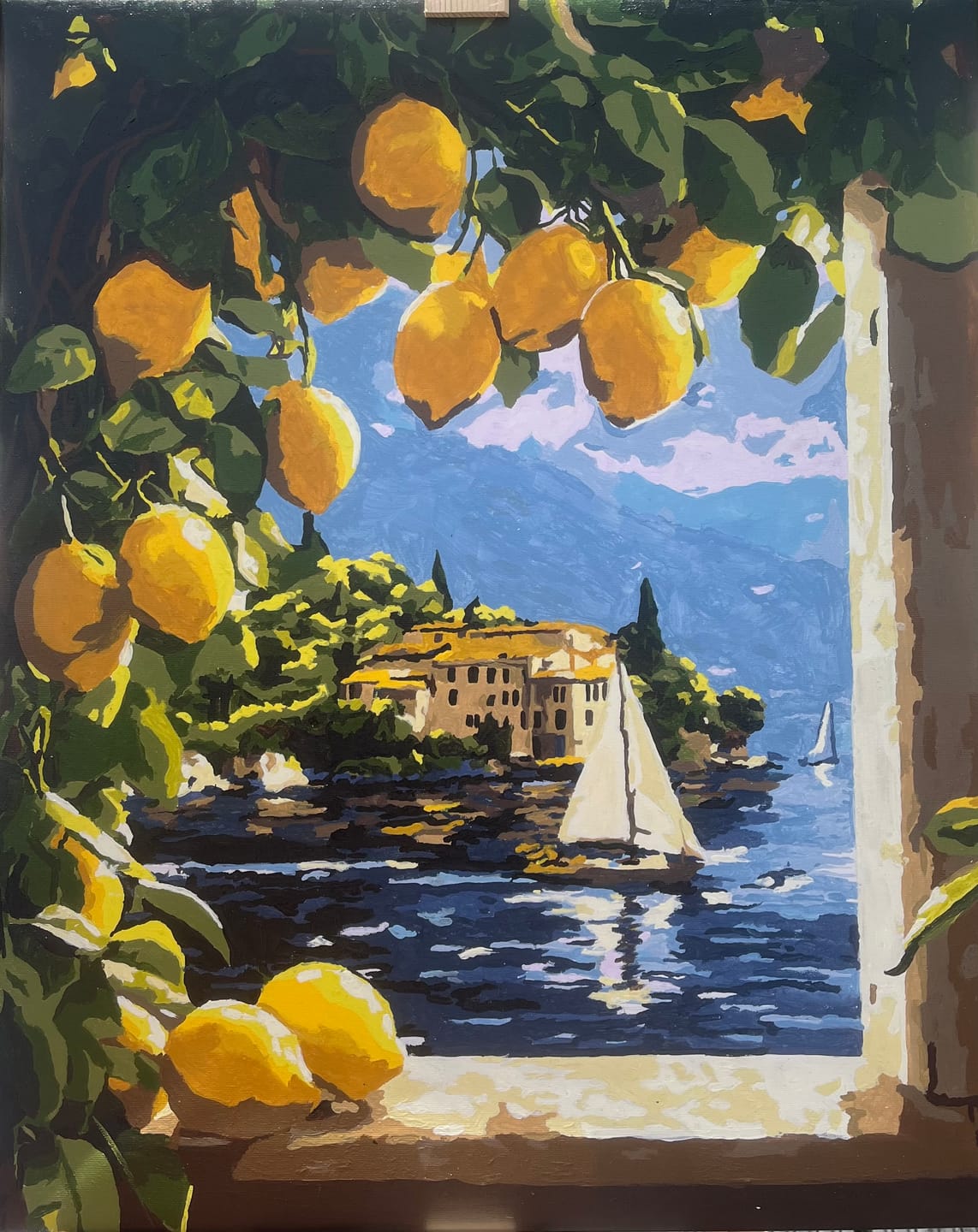 Customer photo review of Lemons at the window | Paint by Number