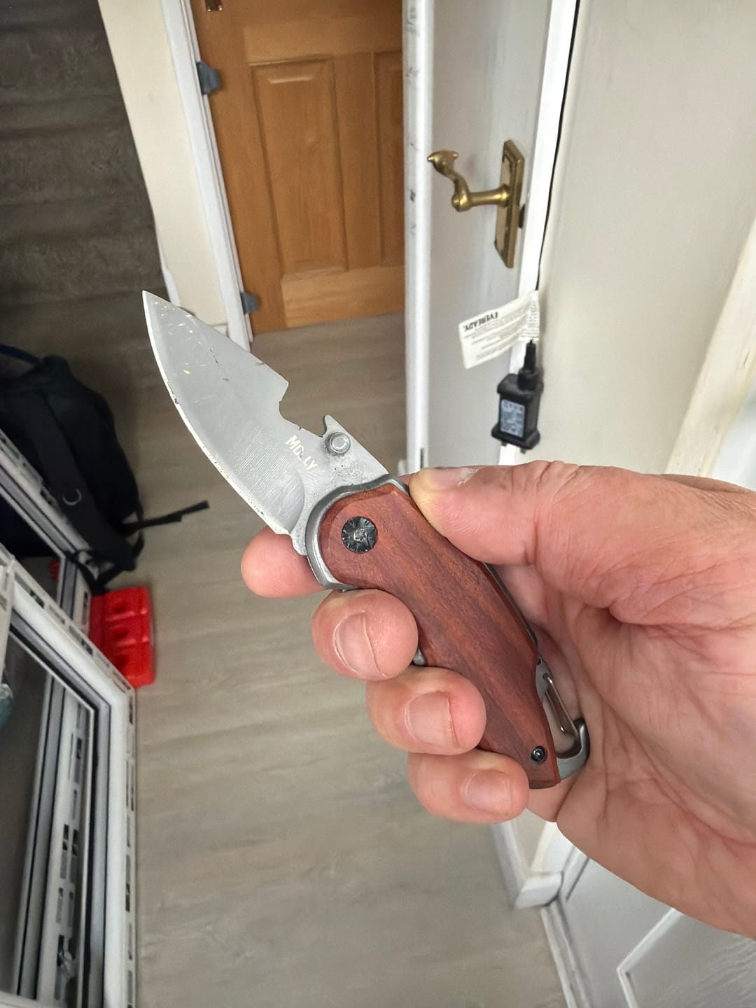 Customer photo review of Molly