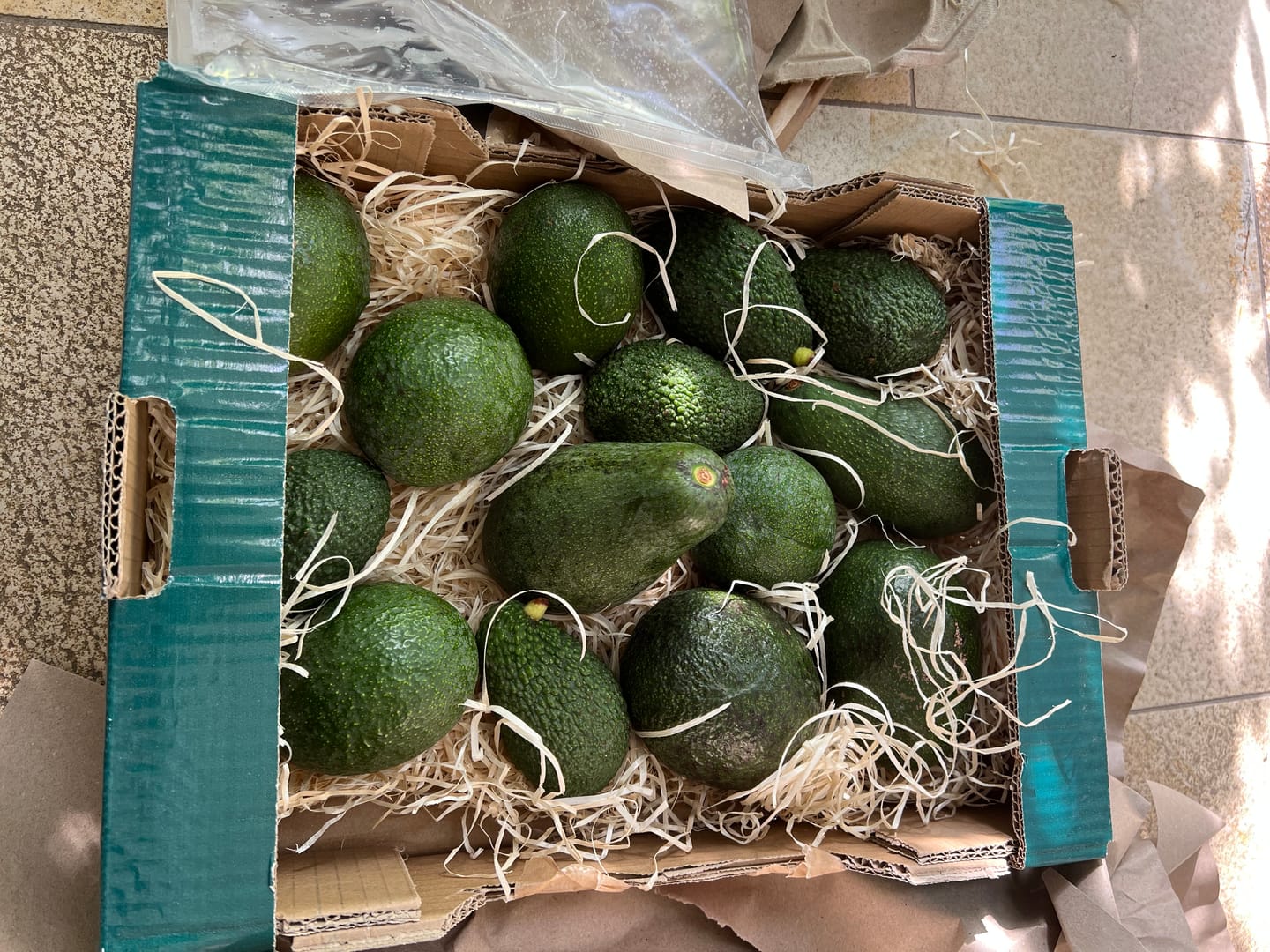 Customer photo review of Avocado "Späternte" Mix von Juan 3kg