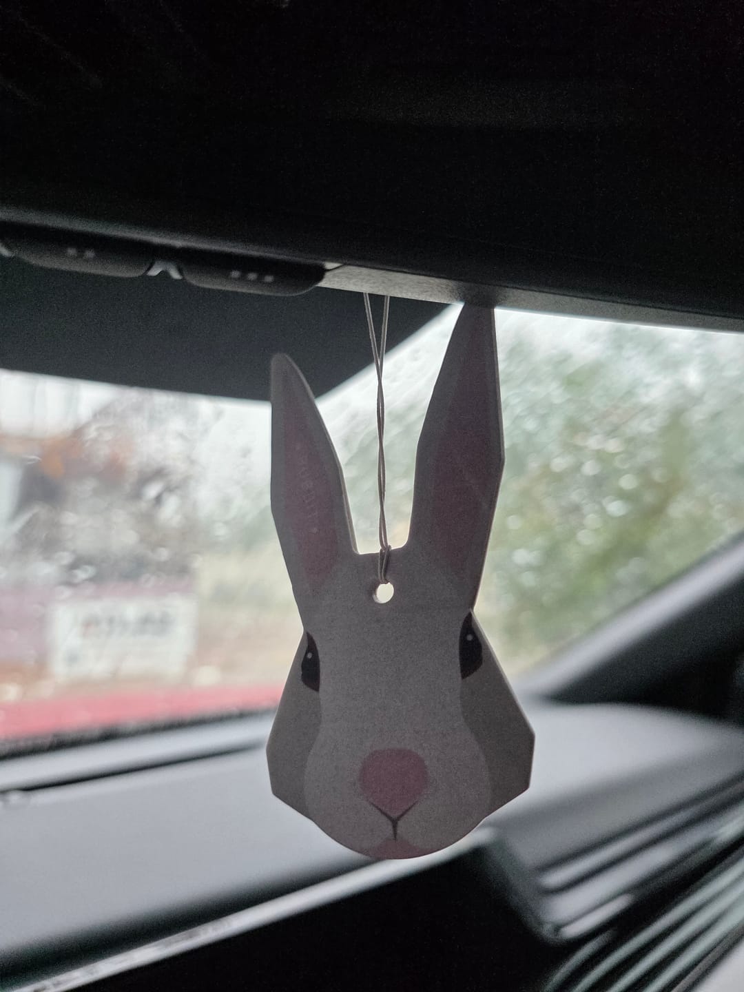 Customer photo review of RUBBIT Total Detailing Bundle
