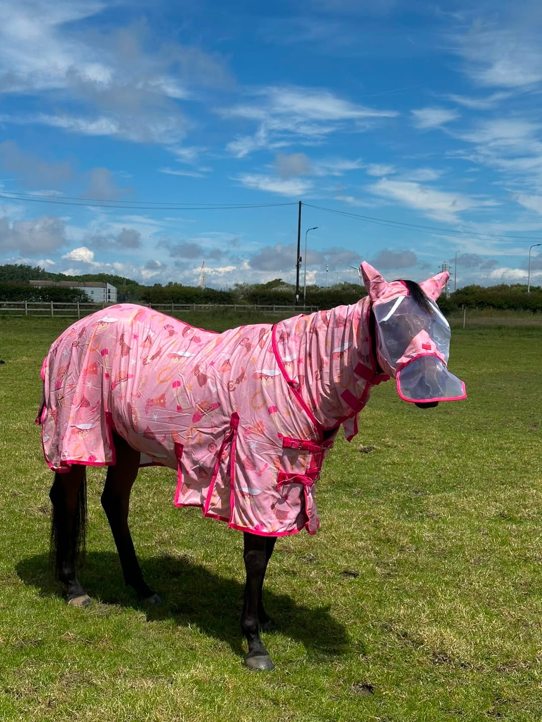 Customer photo review of NEW Country Star Fly Rug