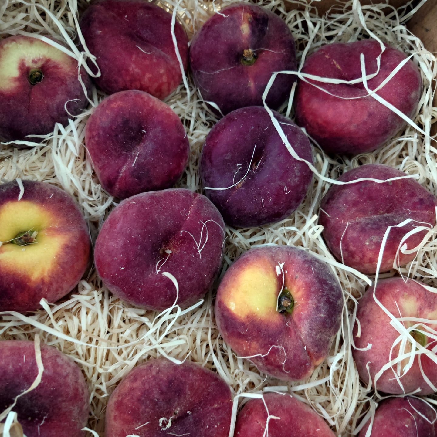 Customer photo review of Weinbergpfirsiche gelb & weiss Bio von Jose 2kg Box Sonderpreis %