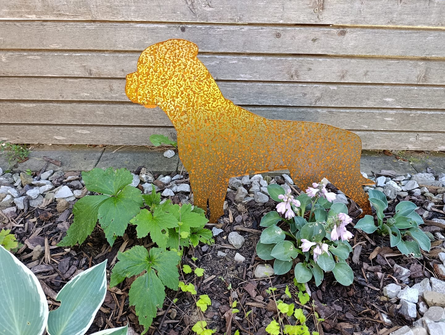 Customer photo review of Gartenstecker Boxer