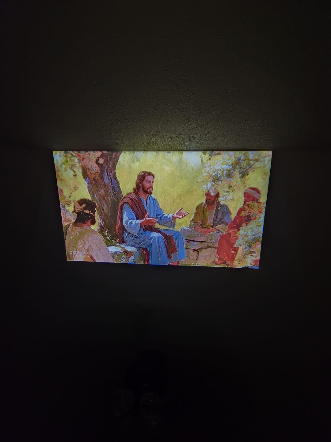 Customer photo review of Ozmotic Learning Projector