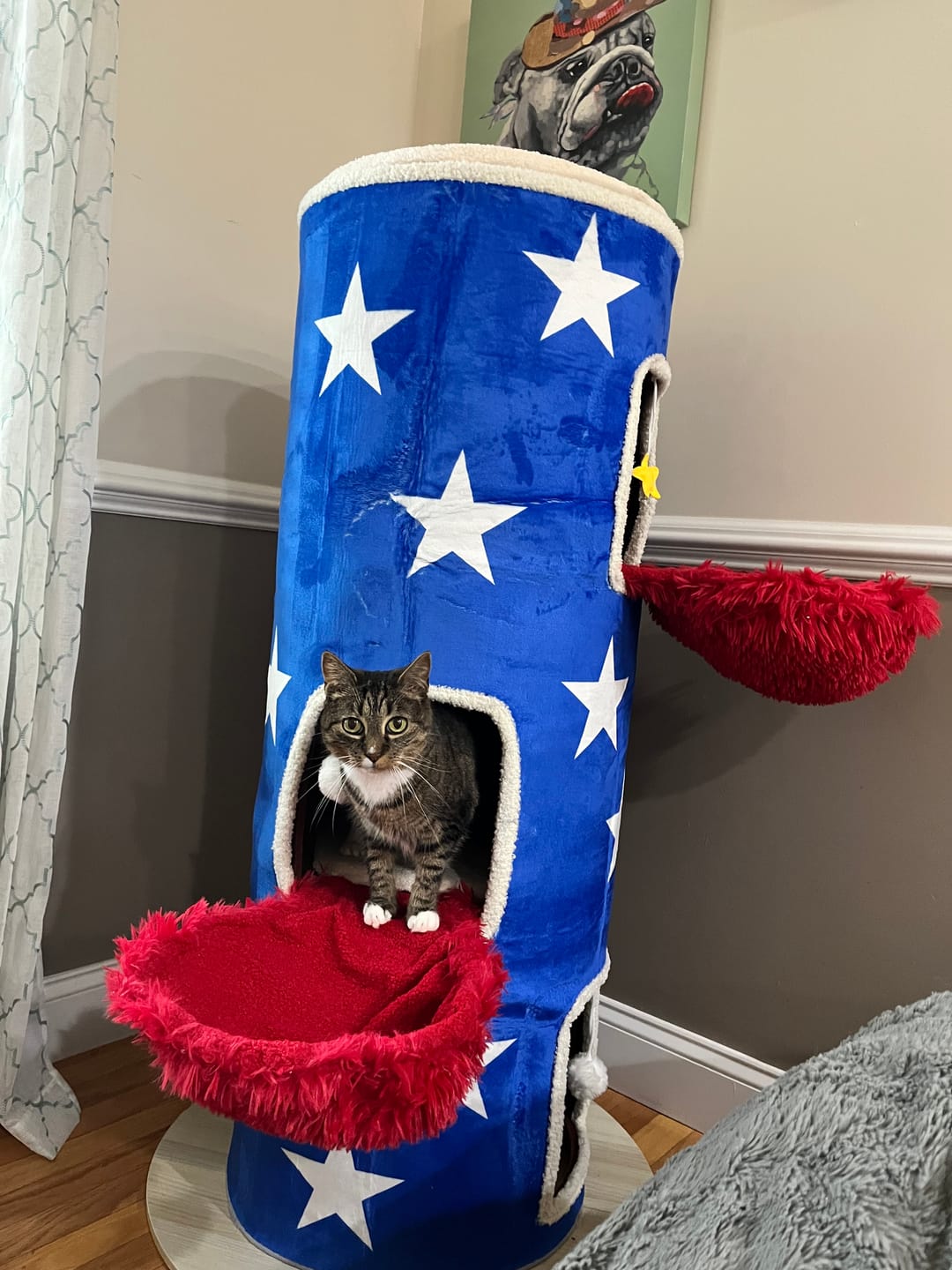 Customer photo review of Cat Christmas Tree - Sep 2026