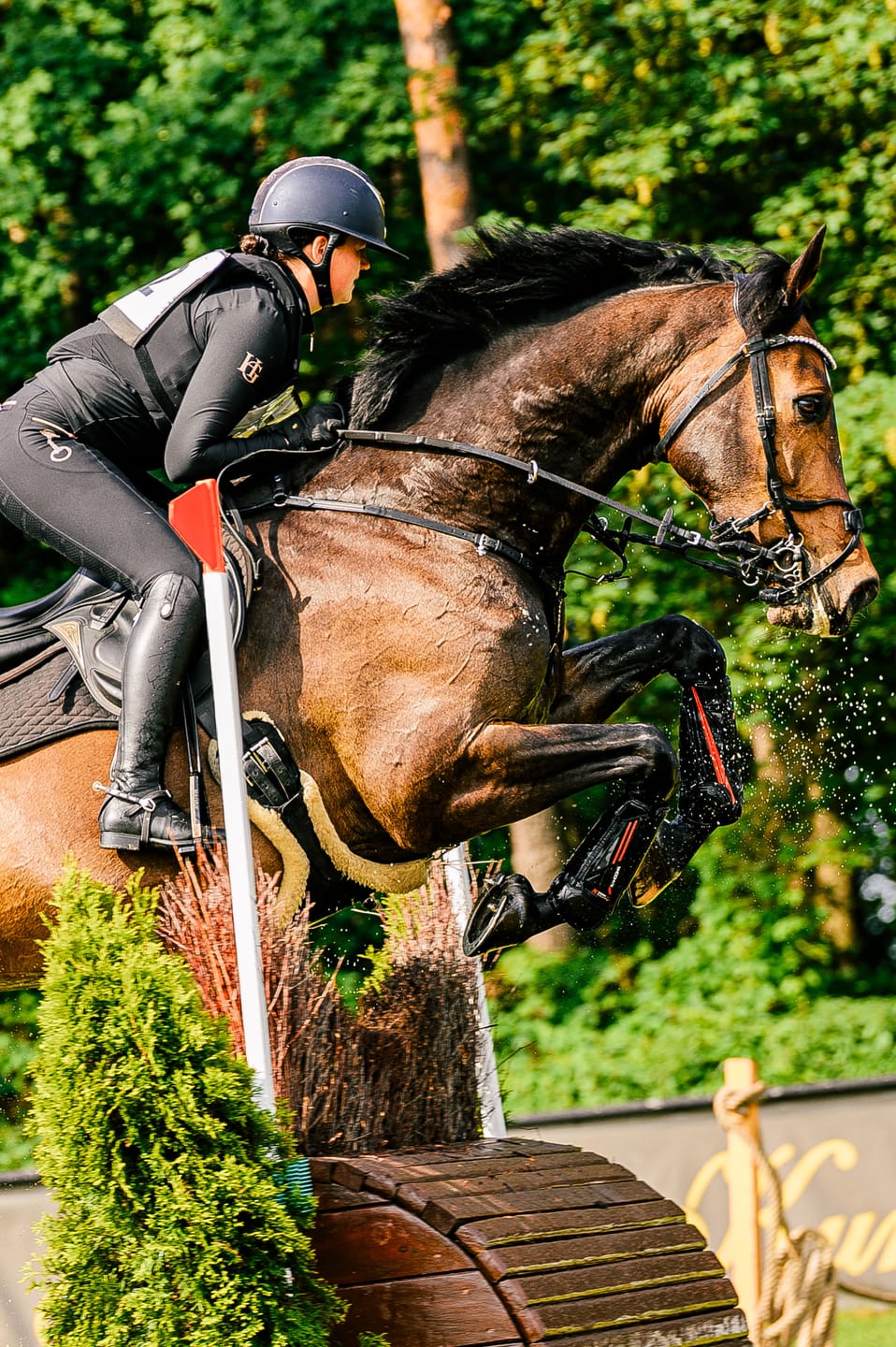 Customer photo review of CRYSTAL KYLIE - RIDING LEGGINGS | BLACK ROSE GOLD