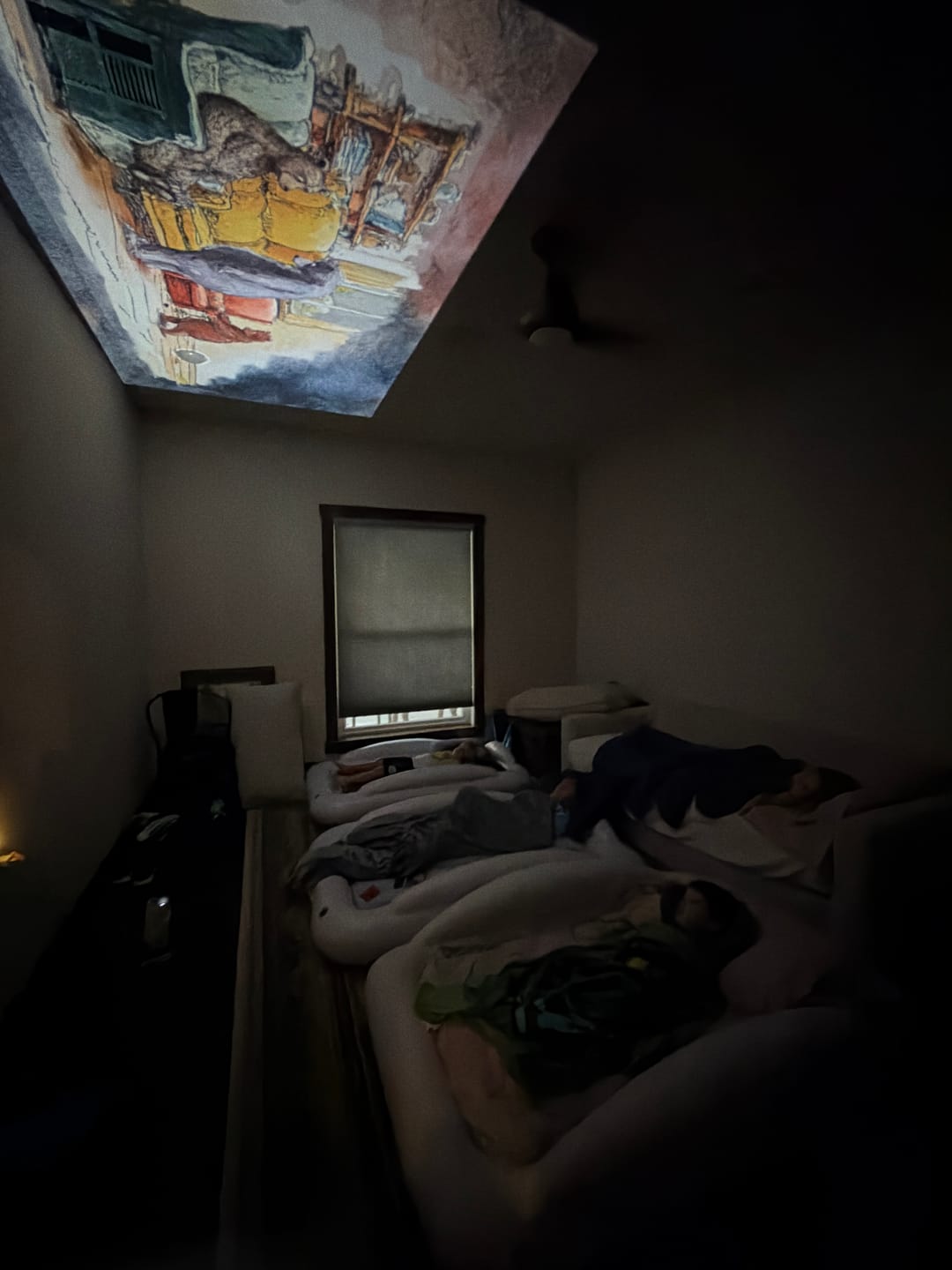 Customer photo review of Ozmotic Learning Projector