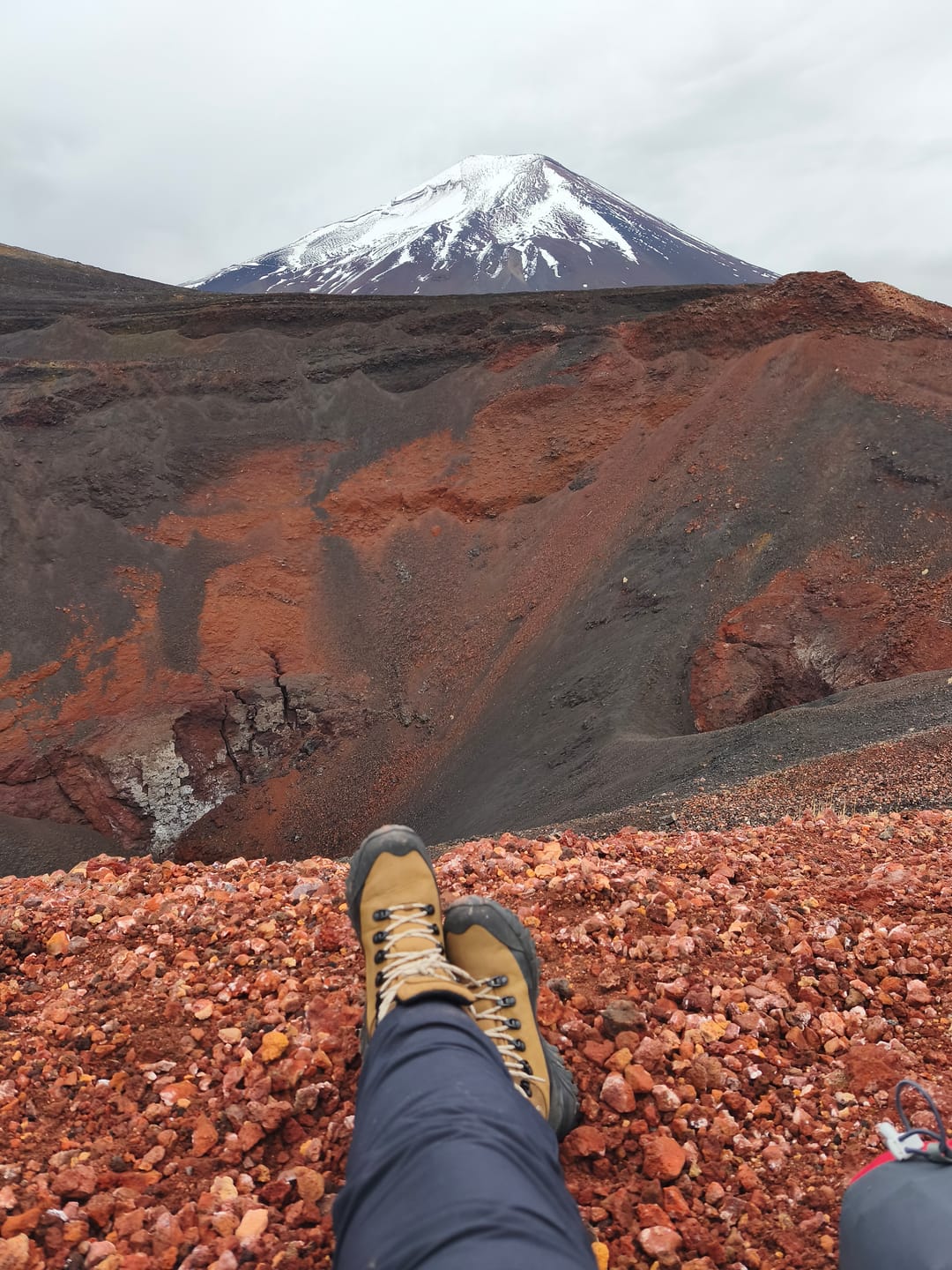 Customer photo review of Zapato Mujer Dhenieb WP