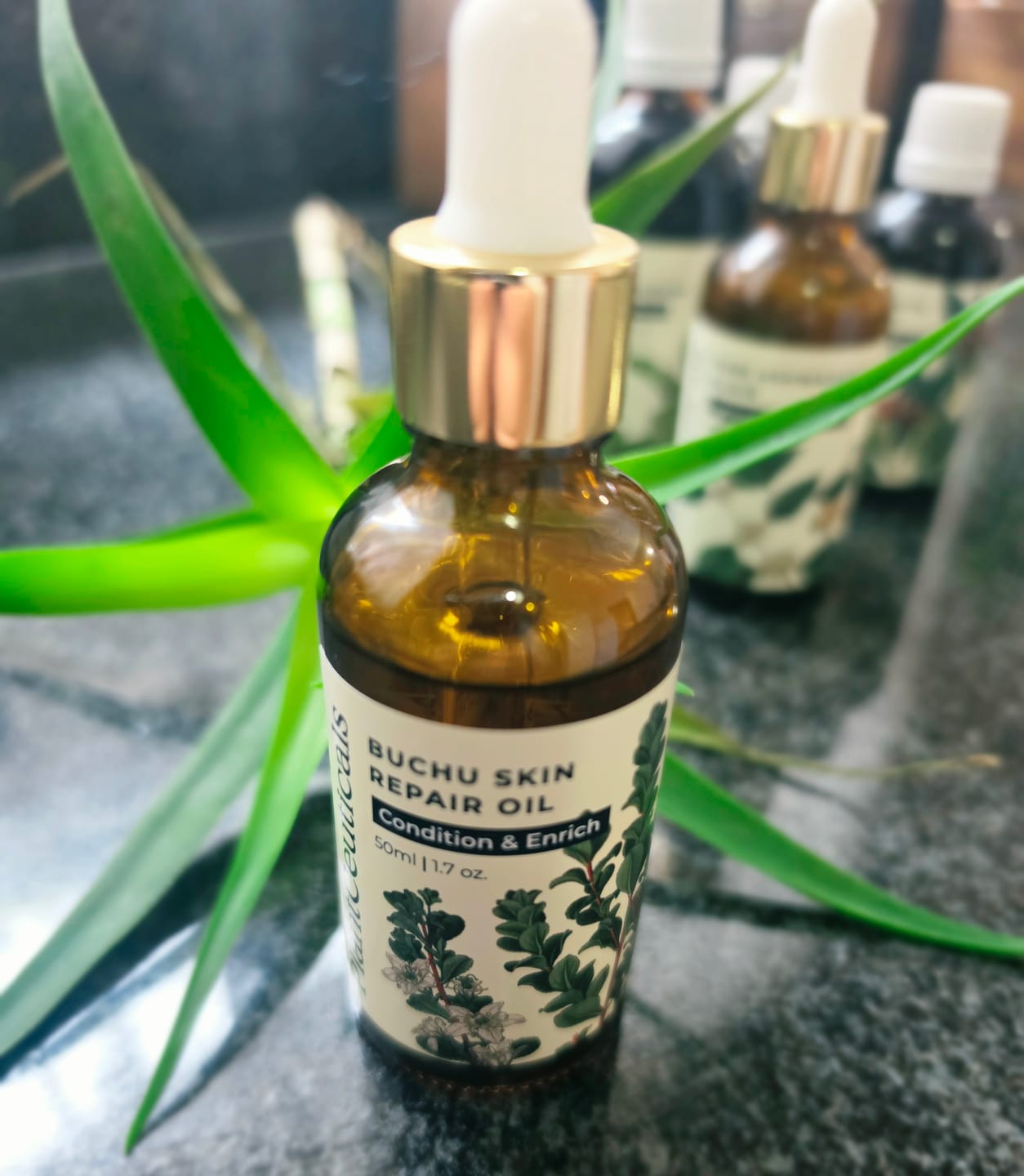 Customer photo review of Buchu Skin Repair Oil