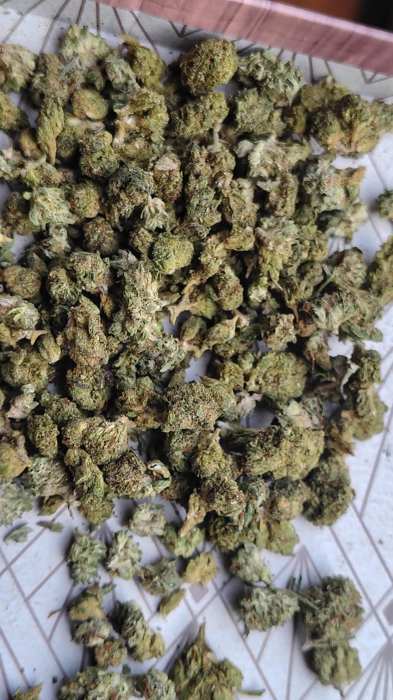Customer photo review of Chem Dawg - Minis - 28 Grams - Hybrid
