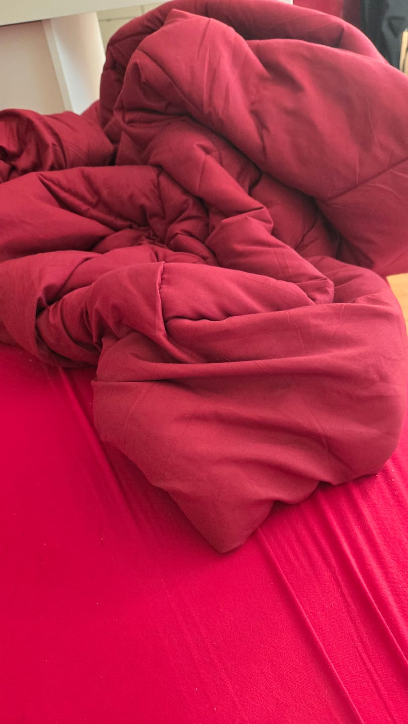 Customer photo review of EasySleep® Decke – Die schnelltrocknende 2-in-1 Bettdecke, die Bettwäsche überflüssig macht.