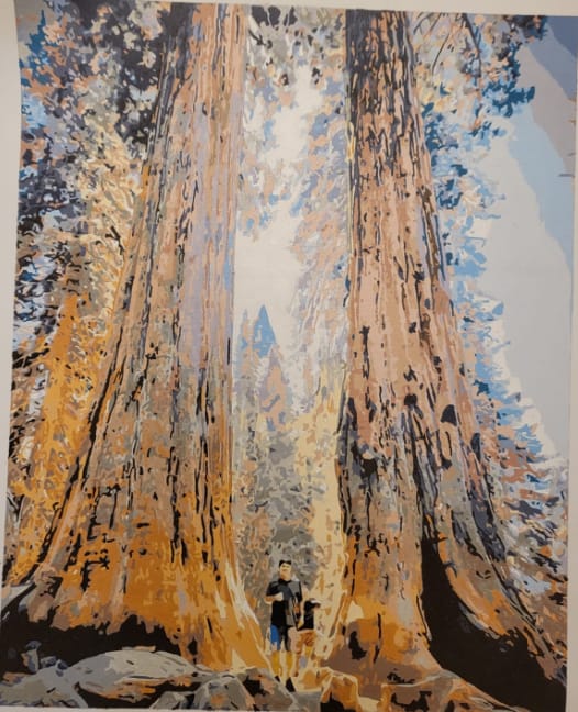 Customer photo review of Custom Paint By Numbers - Turn Trip Memory into Art