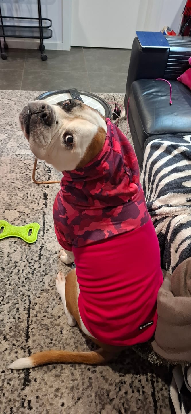 Customer photo review of Fuchsia Camo Dog Hoodie