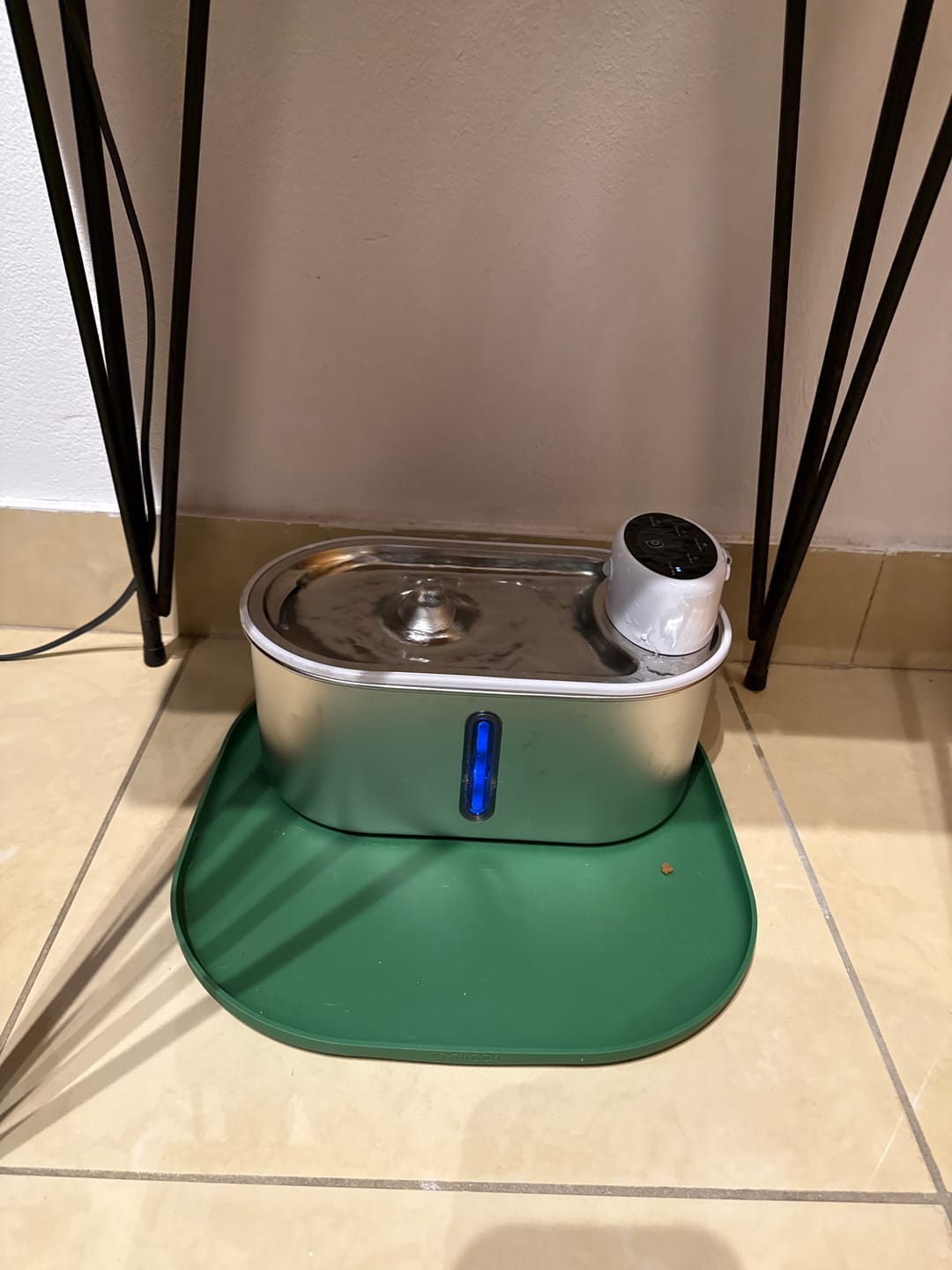 Customer photo review of Petbuds Flow Pet Drinking Fountain