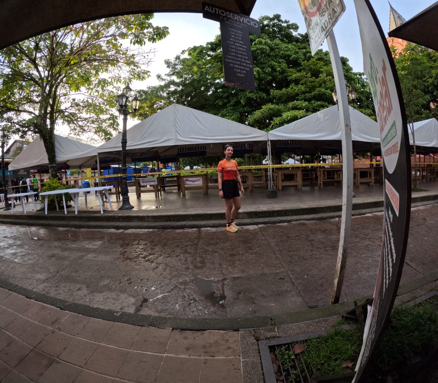 Customer photo review of Asics Noosa Tri 16 Mujer Light Orange Lemon Spark