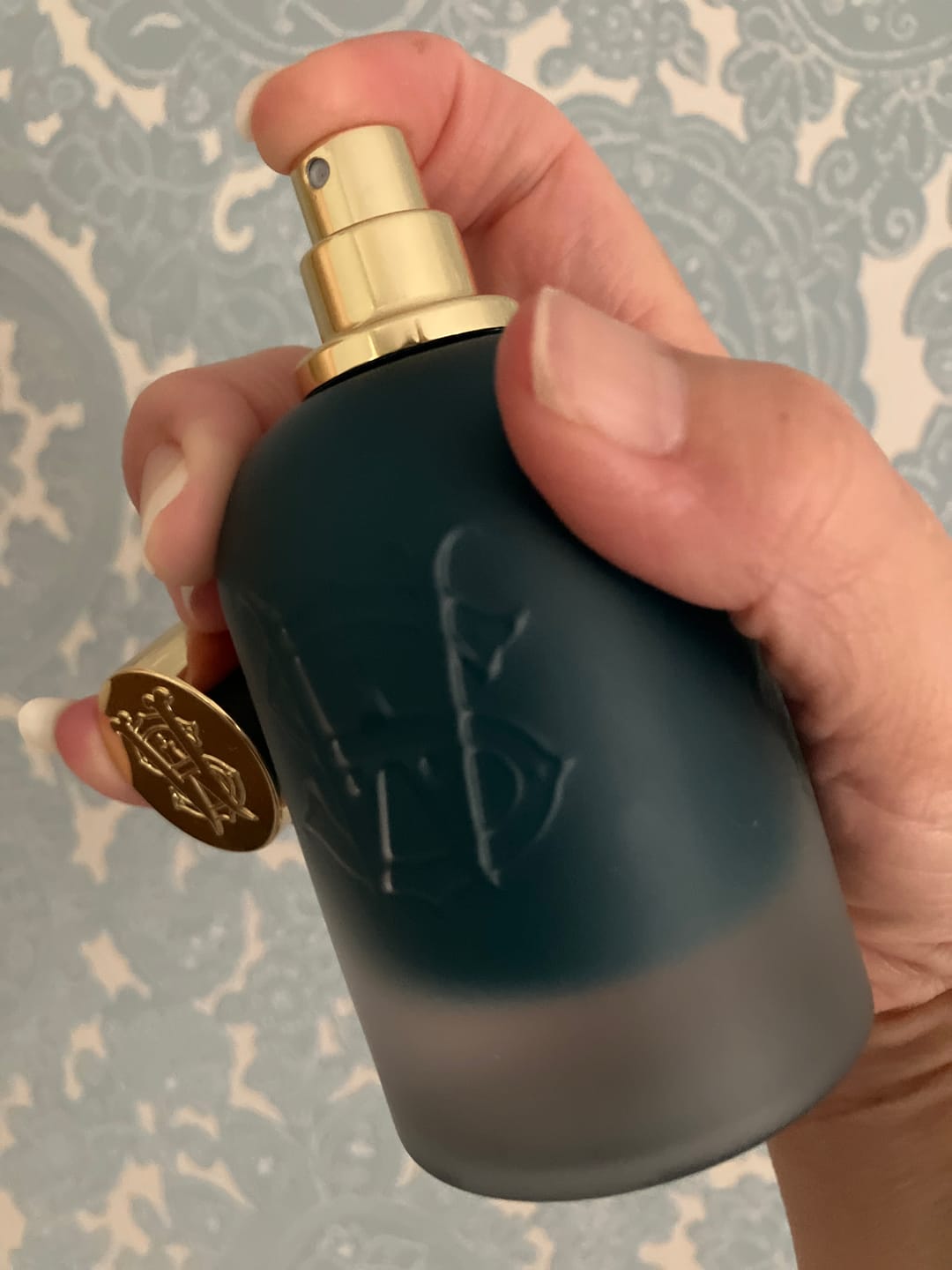 Customer photo review of Surfari