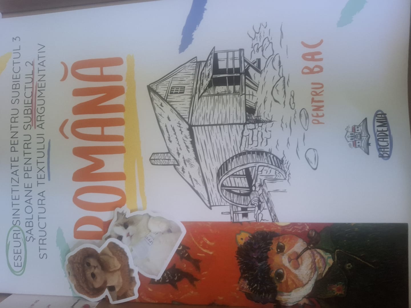 Customer photo review of Carte Română Bacalaureat Bacademia (temă și viziune, caracterizare, relație) - Ediția II