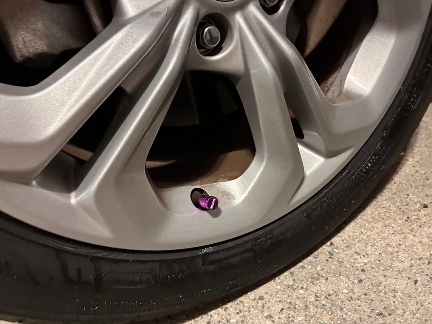 Customer photo review of 80Eighty® Purple Valve Stem Caps