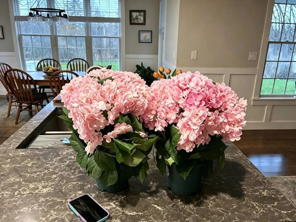 Customer photo review of Artificial Outdoor Hydrangea Flowers - UV resistant, Waterproof, Windproof