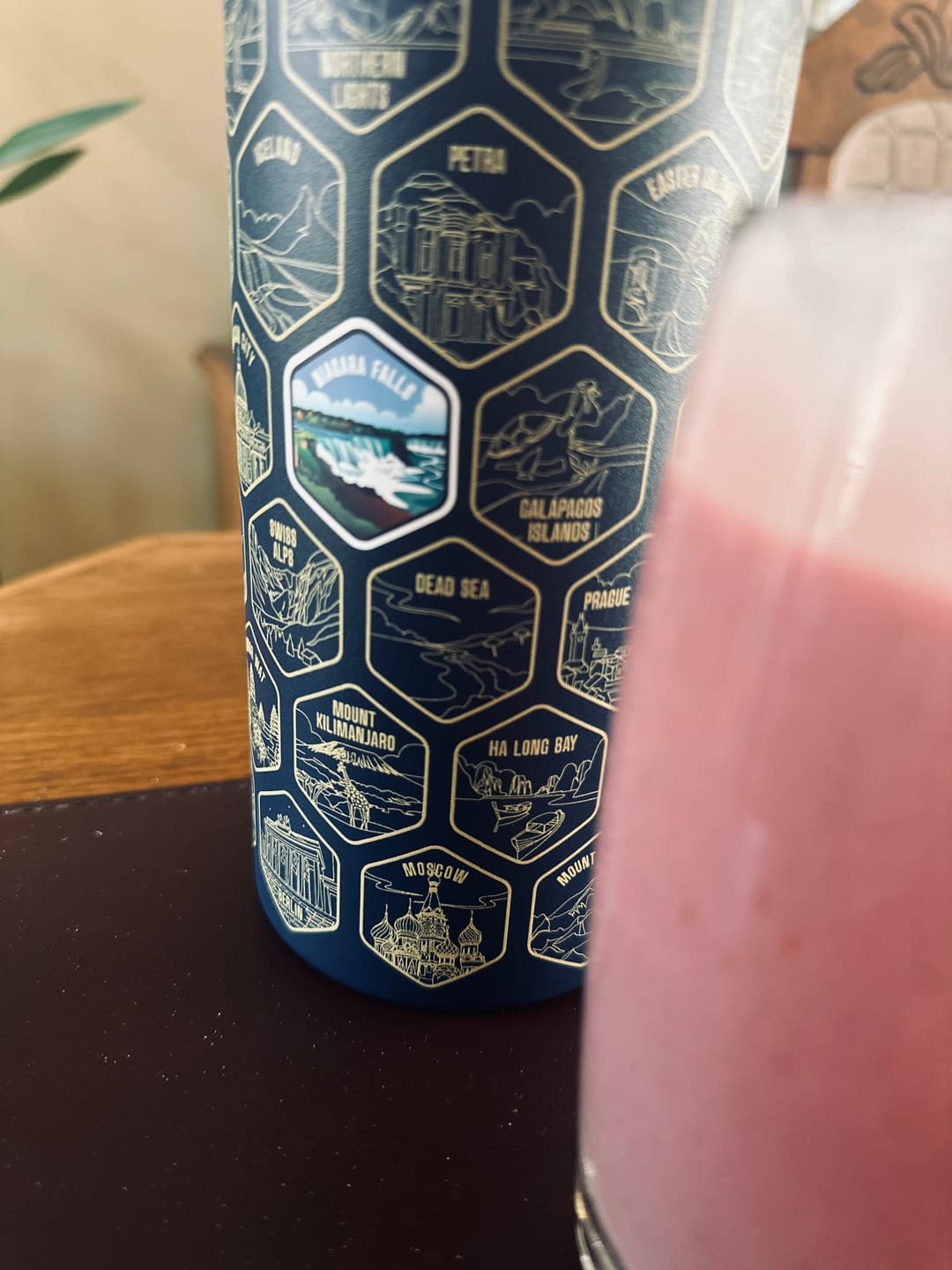 Customer photo review of World Explorer Bottle + Stickers