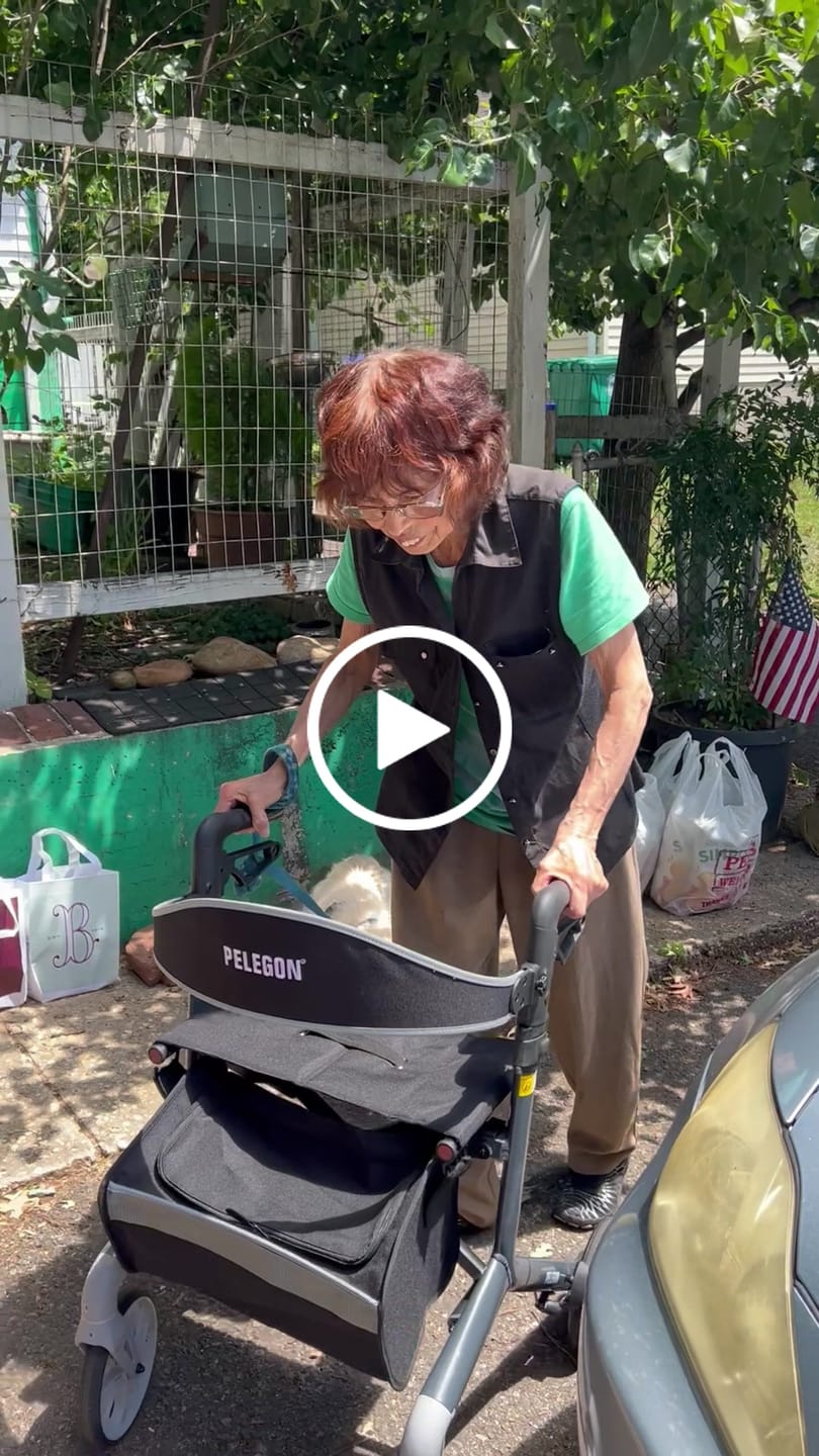 Customer video review of Pelegon Rollator Walker with Seat