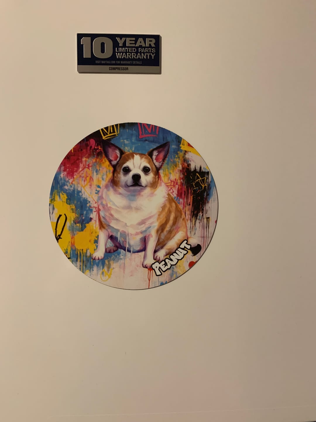 Customer photo review of Graffiti - Personalized Car Magnet