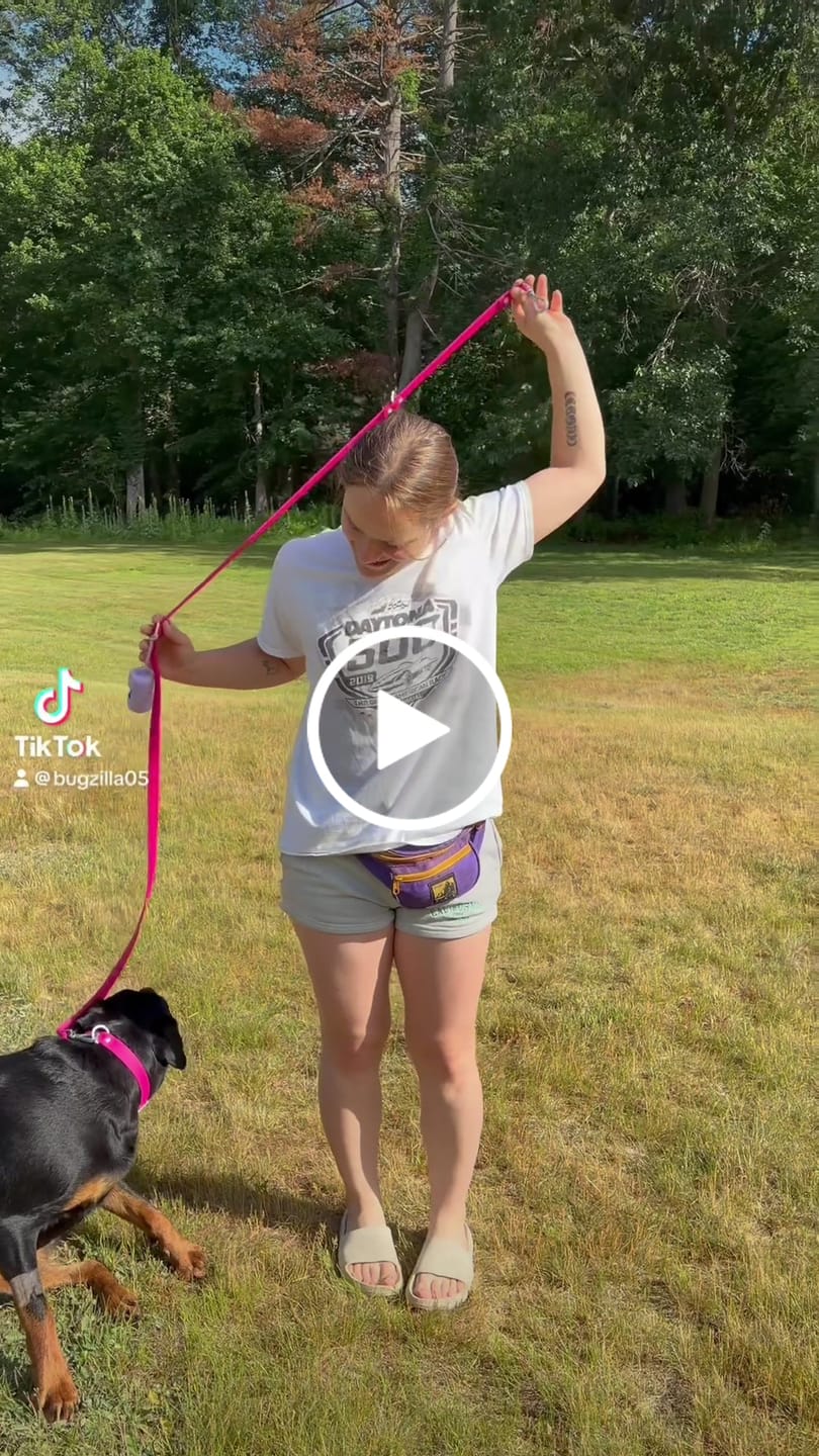 Customer video review of Wander! Collar Kit - Bubblegum