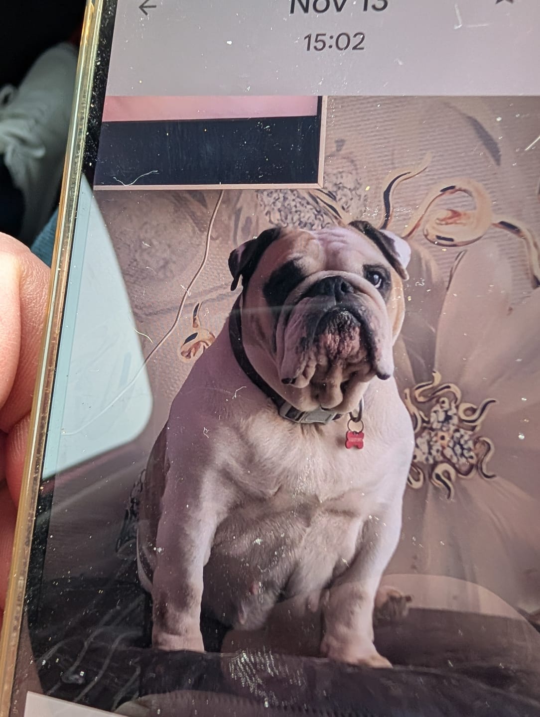 Customer photo review of Personalized Pet Keychain