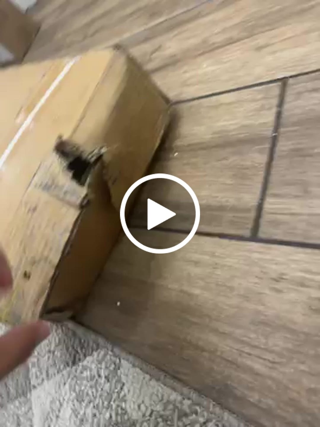 Customer video review of Shipping Protection by Route