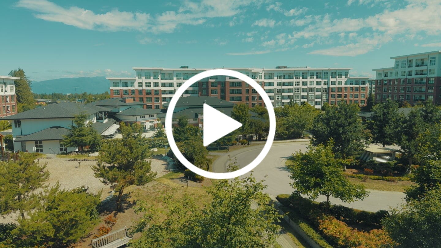 Customer video review of iPhone Apple Log LUTs