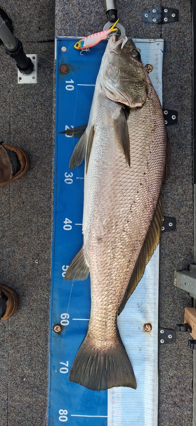 Customer photo review of Bulk 20-Pack | 115mm / 35g Vibes