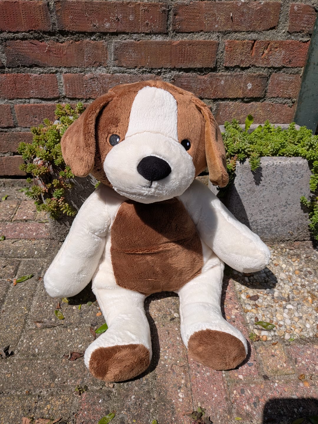 Customer photo review of Lotgenootje Hond 2kg
