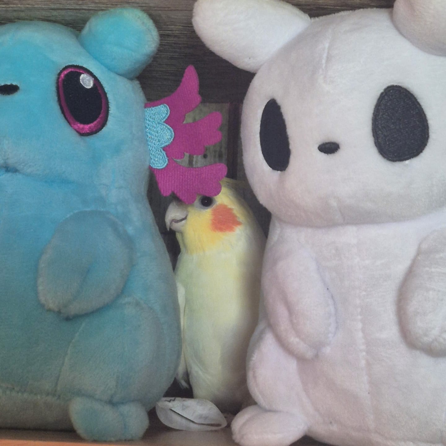 Customer photo review of Rain World - Rivulet Slugpup Plush