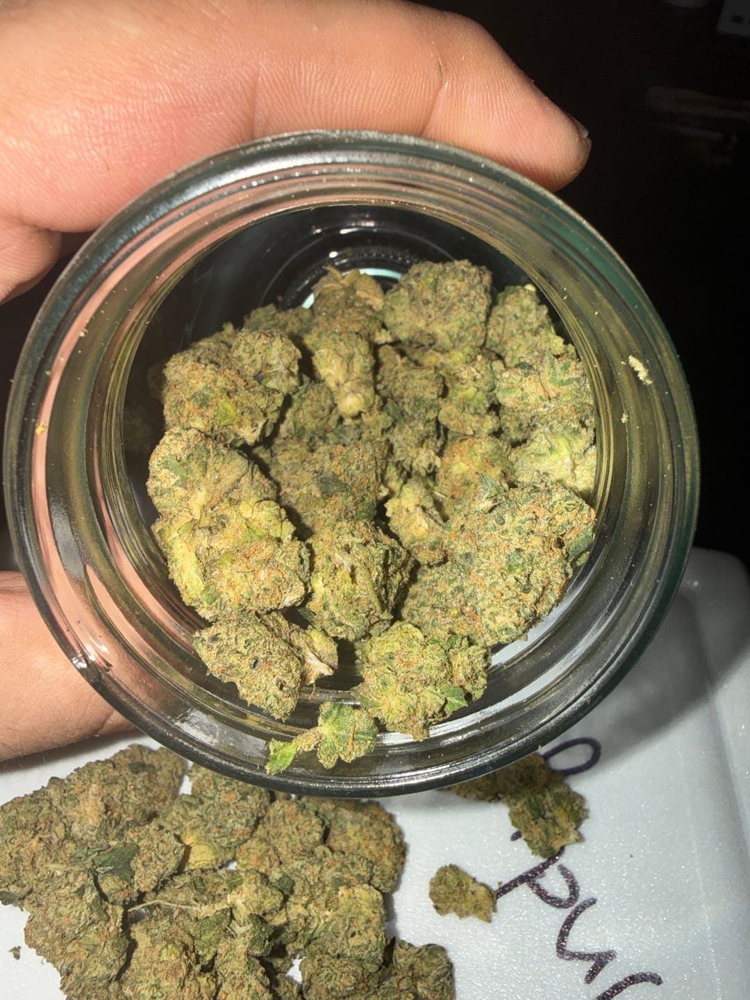 Customer photo review of Biscotti THCA Flower (Budget)