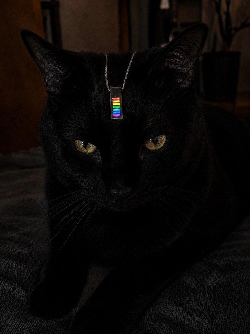 Customer photo review of Handcrafted Energy Core Tritium Necklace