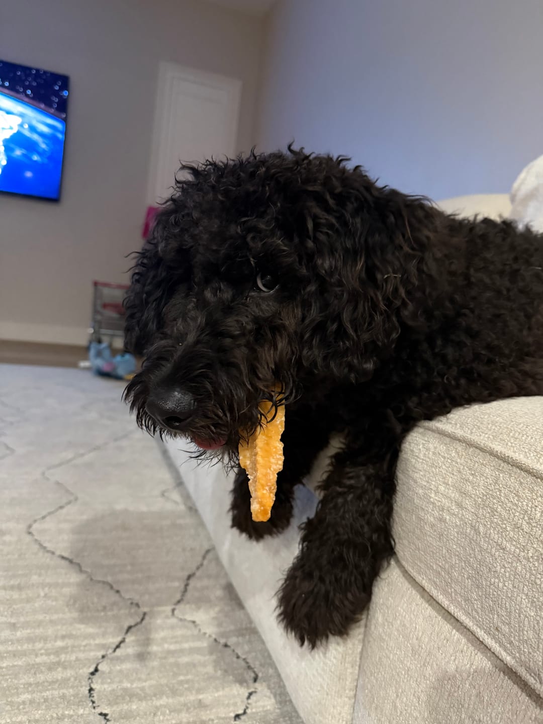 Customer photo review of Himalayan Yak Chew (LARGE)