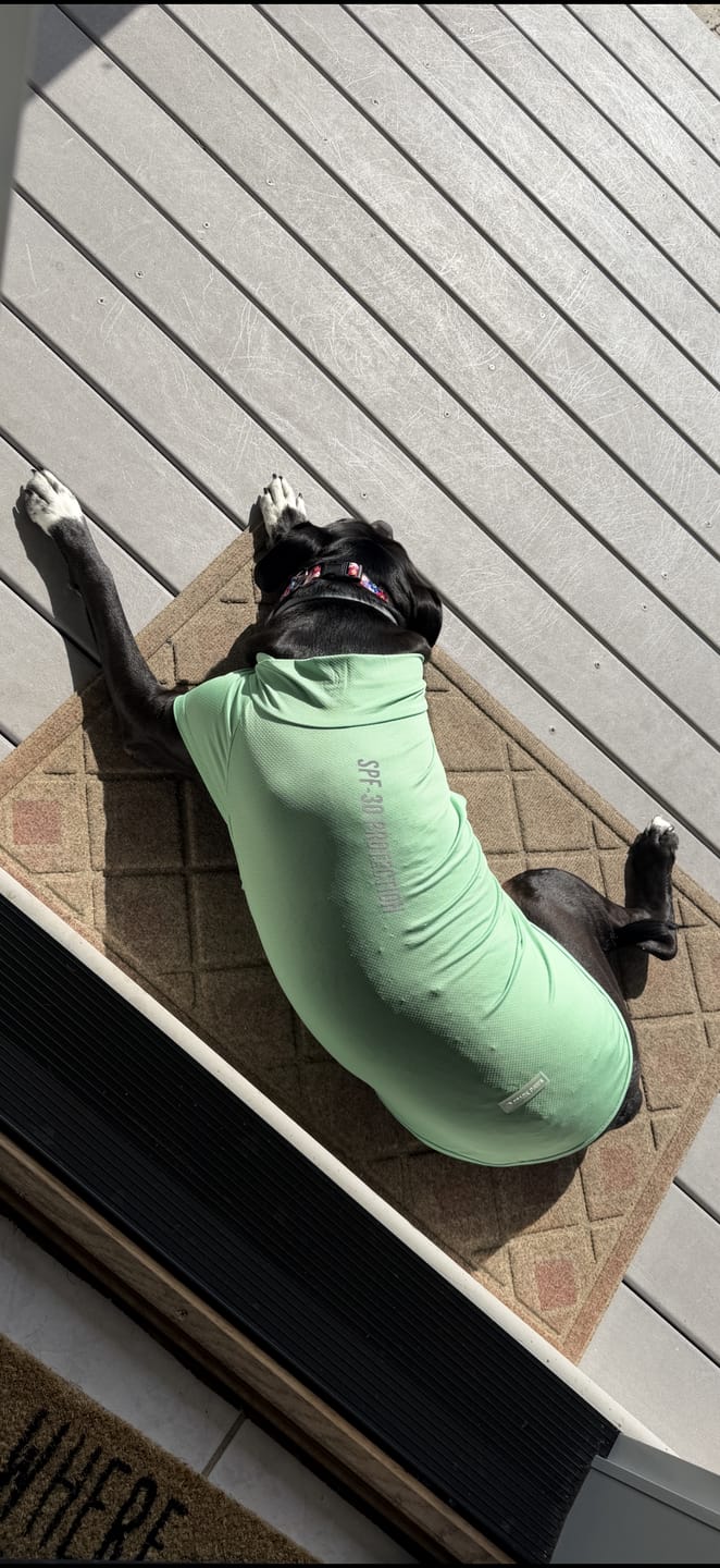 Customer photo review of Sunblock T-Shirt 3 Pack