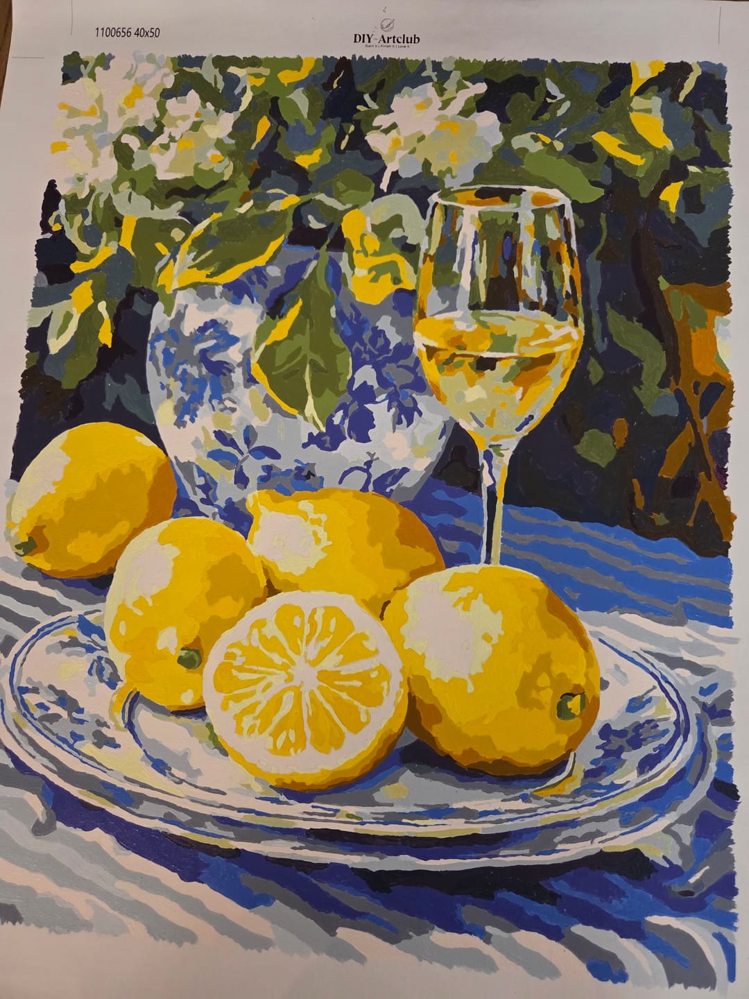 Customer photo review of Lemons and Wine | Paint by Numbers