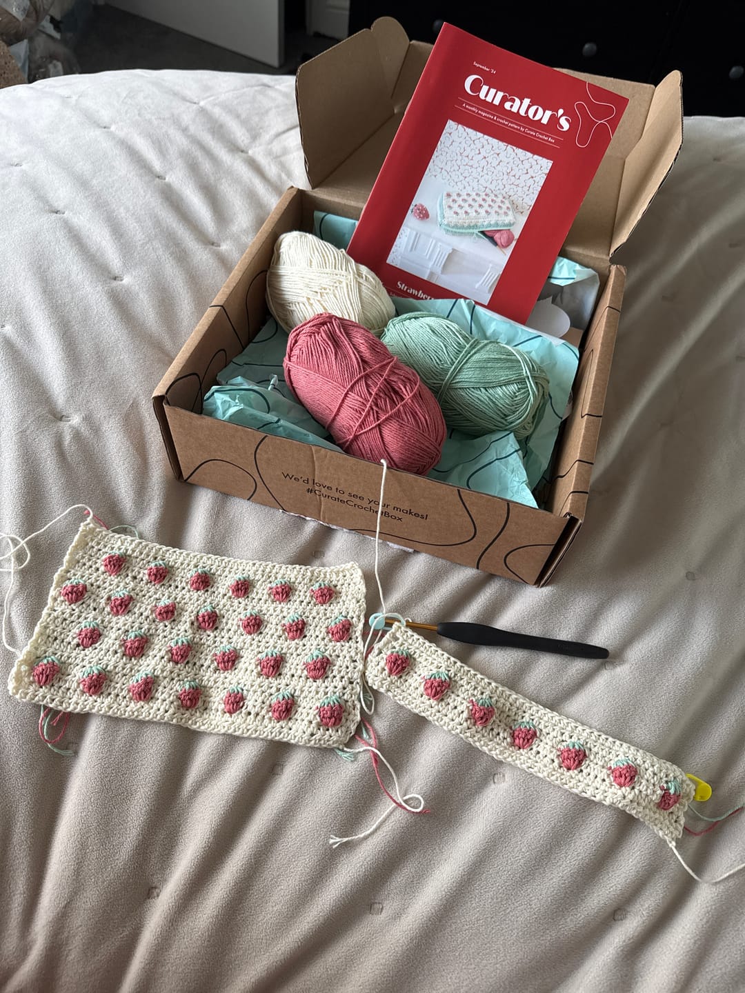 Customer photo review of Strawberry Fields Kit or Pattern