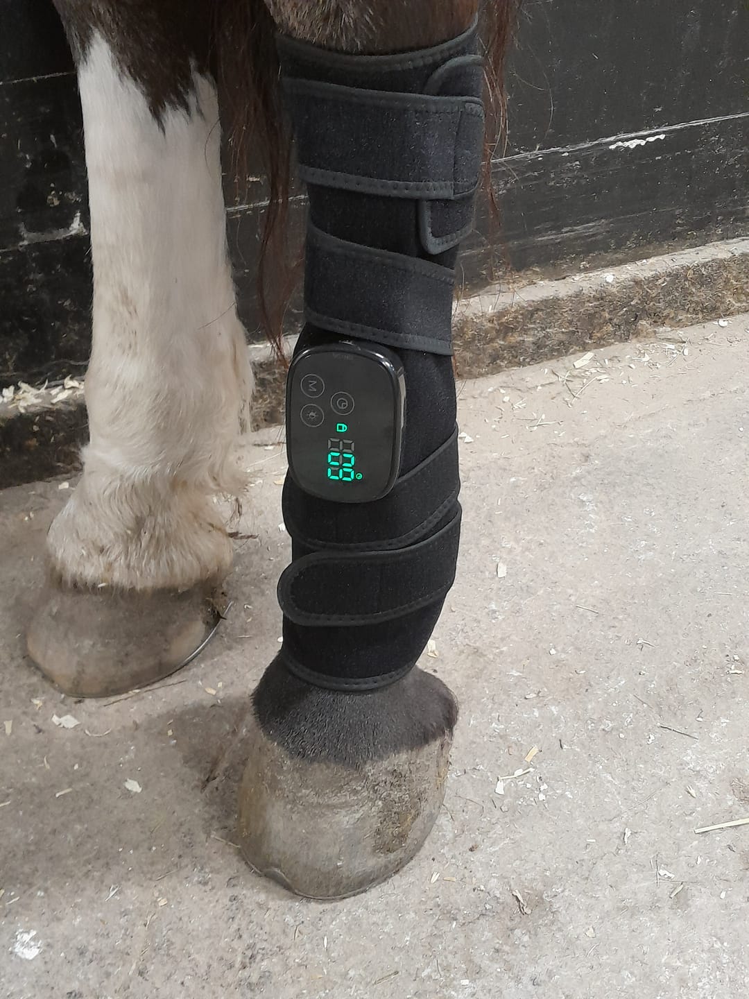 Customer photo review of EquiThera K2 — Rödljusdamask För Djup Läkning