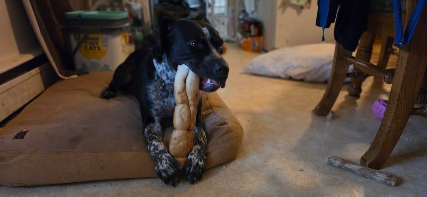 Customer photo review of 10-12 Inch Peanut Butter Cheek Roll