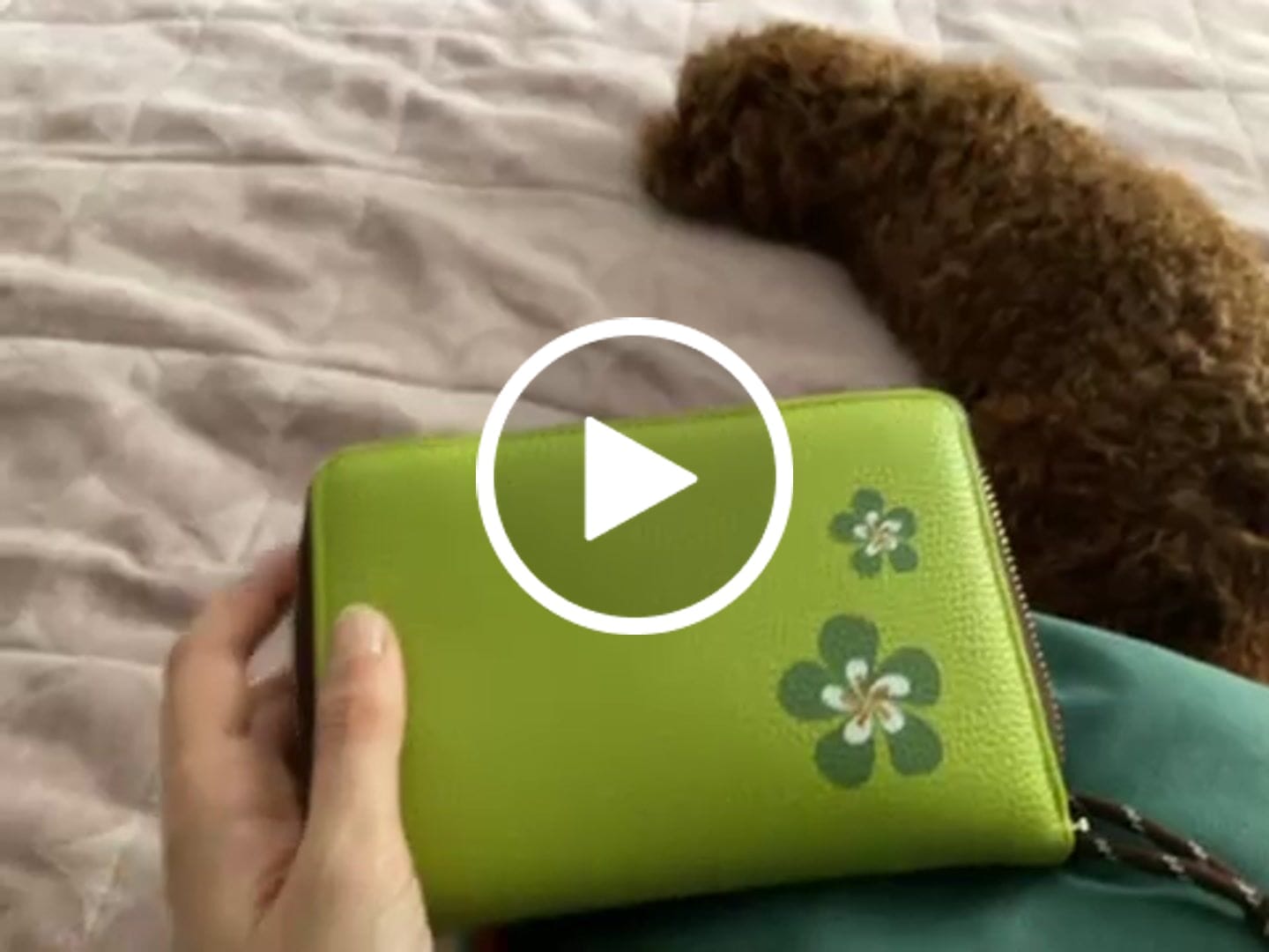 Customer video review of Libreta de Ahorro con Cremallera A7