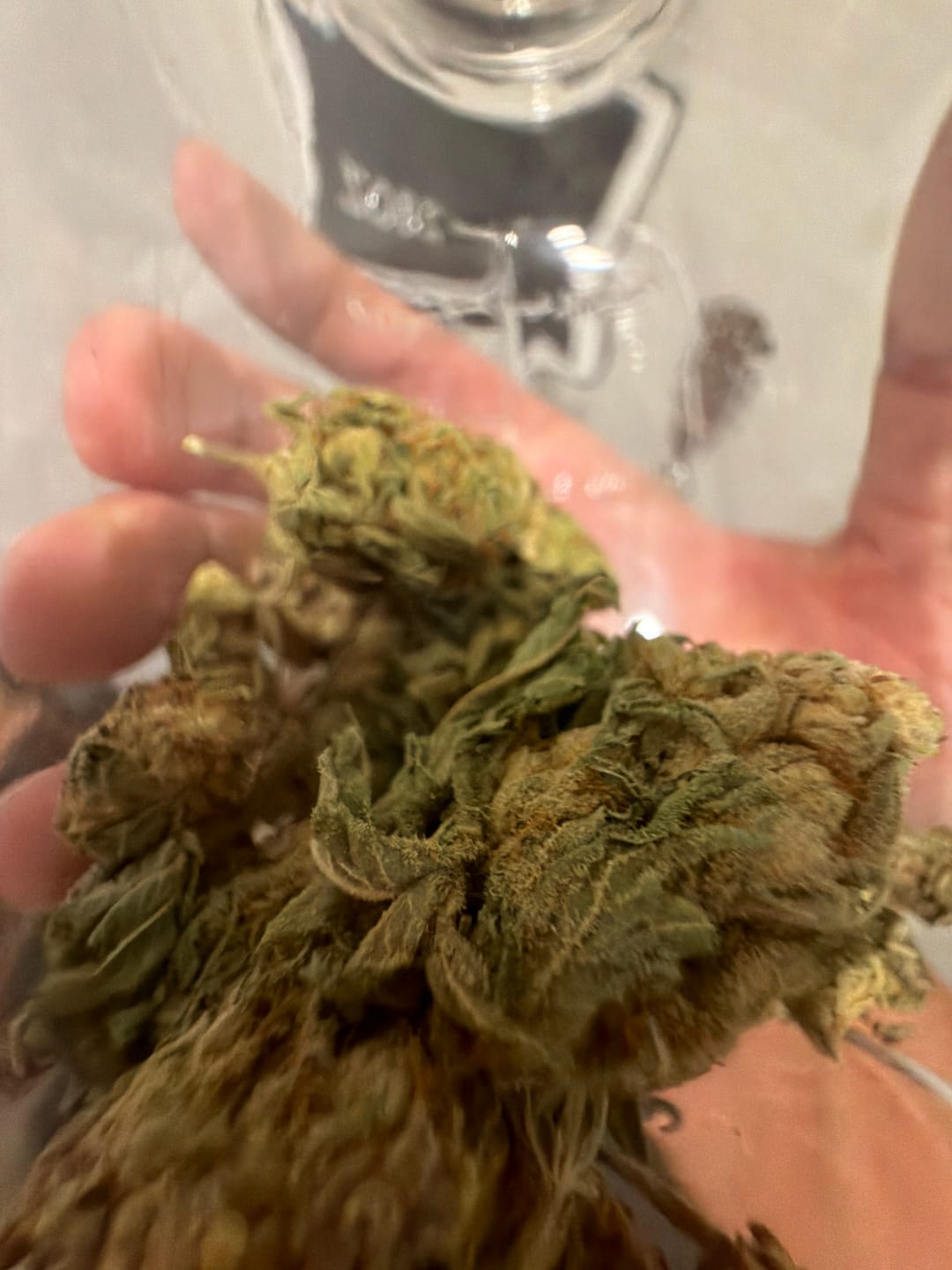 Customer photo review of Gelato Cake - 28 Grams - Hybrid