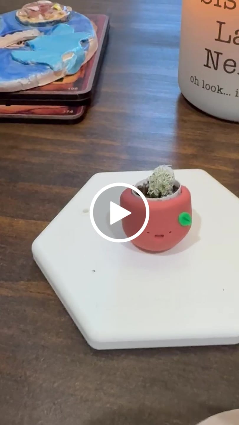 Customer video review of Sweet Clementine