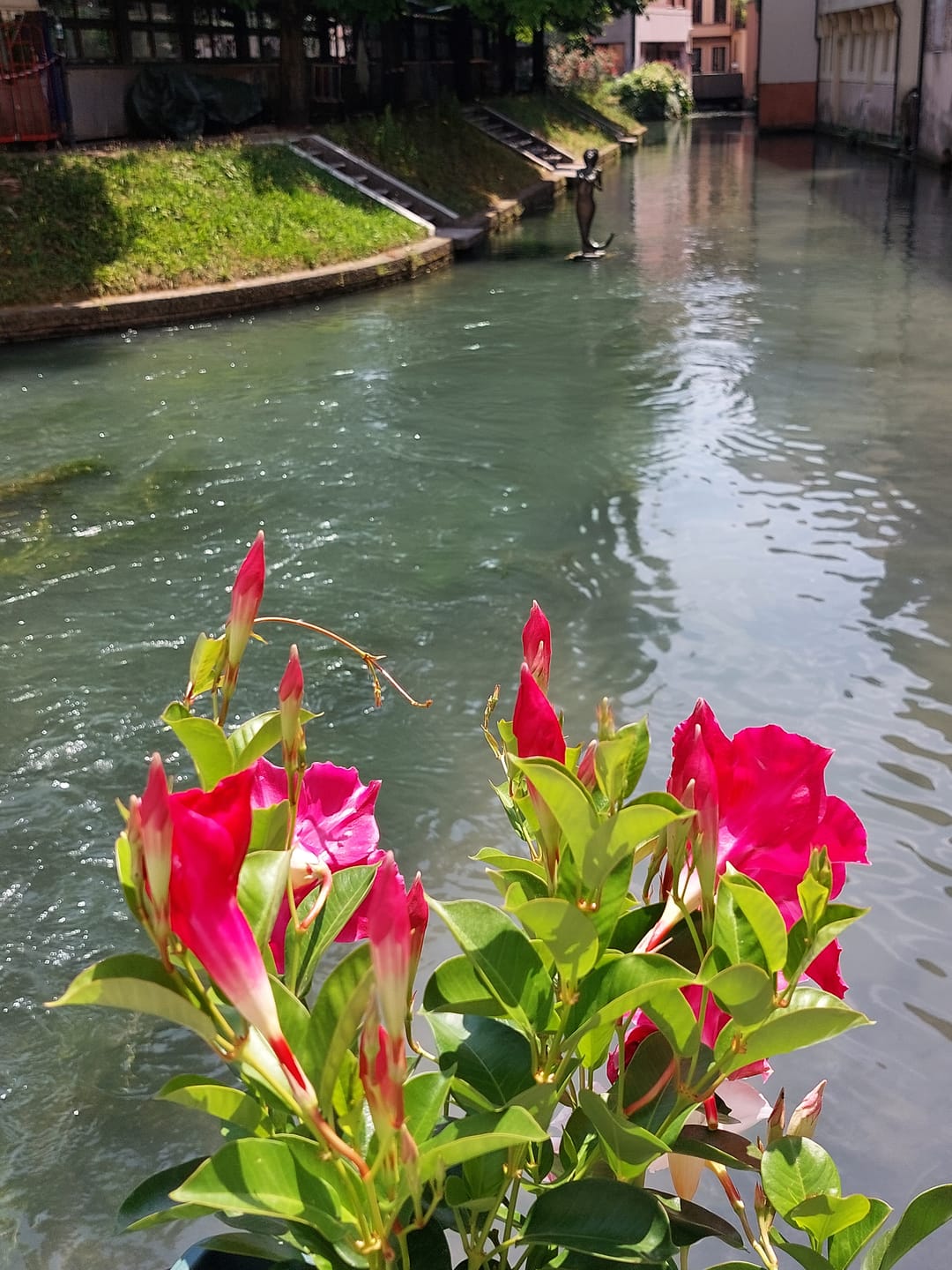 Customer photo review of Mala Venecija: Treviso - Italija (1 dan)