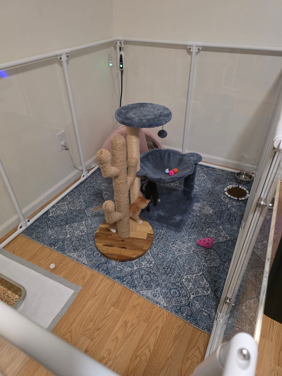 Customer photo review of 36" Tall Large Lucidium Pet Pen