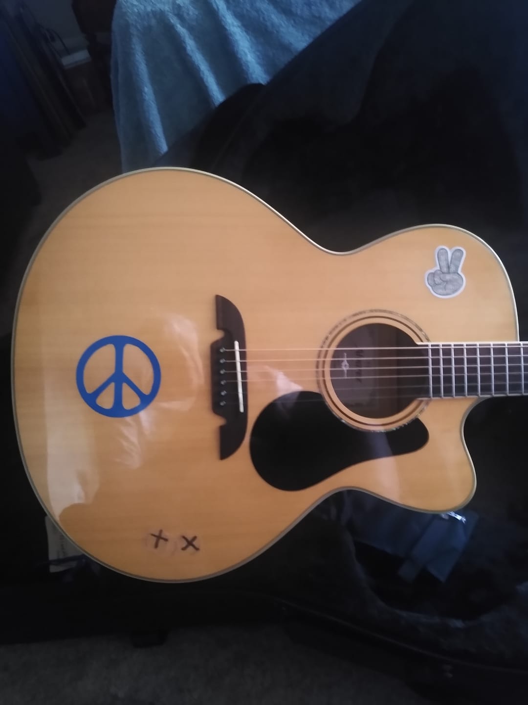 Customer photo review of Classic Peace Sign Sticker