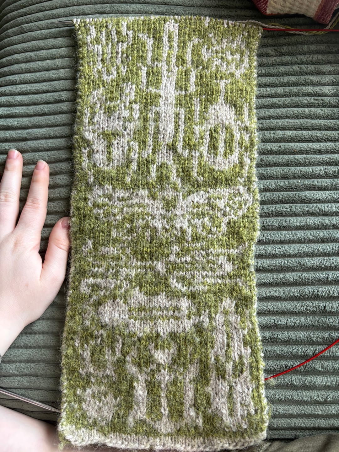 Customer photo review of Plymouth Roam Yarn